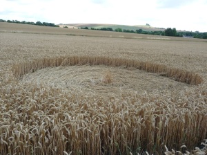 Part of the crop circle formation